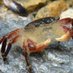 Cr4bf04m 🦀 (@cr4bf04m) Twitter profile photo Cr4bf04m 🦀 (@cr4bf04m) Twitter profile photo