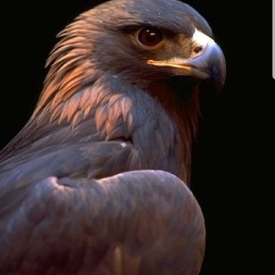 MitziBondElem's profile picture. 