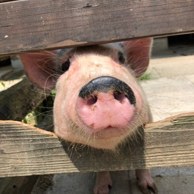桐道さんのプロフィール画像