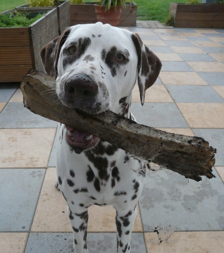 JelaKett's profile picture. 