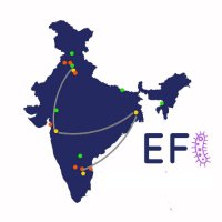 SEFI (@surv_efi) 's Twitter Profile