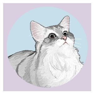 🌌밀키랑🐱쿠키랑🍪さんのプロフィール画像
