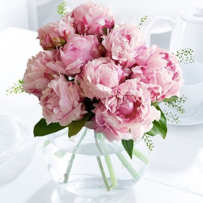 lynseed2's profile picture. 