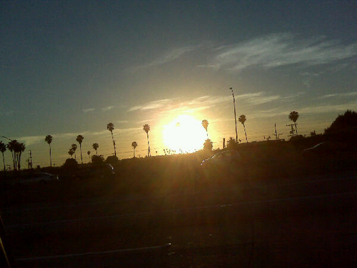 erniecsays's profile picture. 