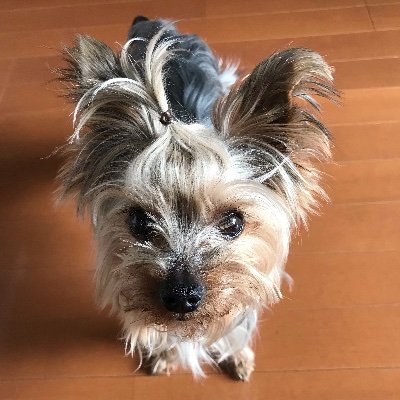 Moca04761204's profile picture. Moca