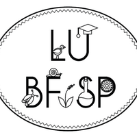 LU BF SP (@lubfsp) 's Twitter Profile Photo