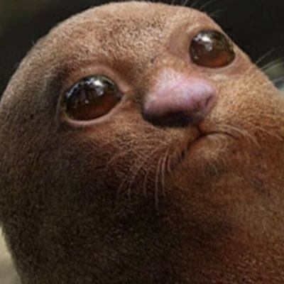 ディグちゃん みんなからの匿名質問を募集中 こんな質問に答えてるよ お好きな映画は ディグダさん あなを掘る 今一番欲しいものは何 質問箱 匿名質問募集中 T Co 0lxdvpxdzc