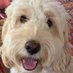 John Webster (@johnwebsteriom) Twitter profile photo John Webster (@johnwebsteriom) Twitter profile photo