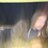 noelbasta's profile image