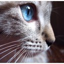 Abby Pond - @_OMG_LOL - Twitter