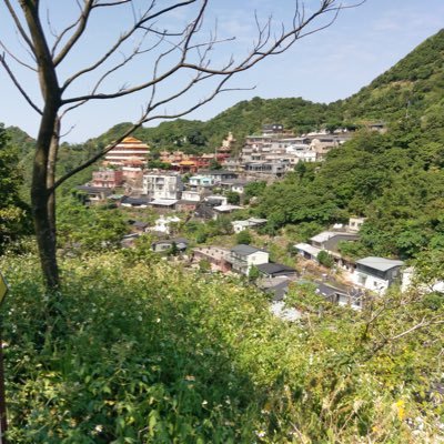 systemApp1's profile picture. system all green