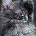 Bobbi Bortner (@bobbibortner) Twitter profile photo Bobbi Bortner (@bobbibortner) Twitter profile photo