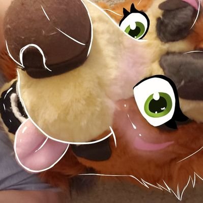 Sayyida Dawgさんのプロフィール画像