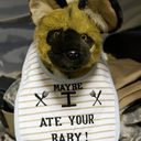 Chris Stout - @stouterz - Twitter