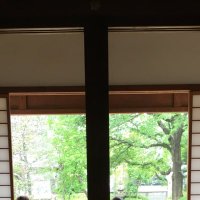 カカオ@取引 (@chocochoco108) 's Twitter Profile