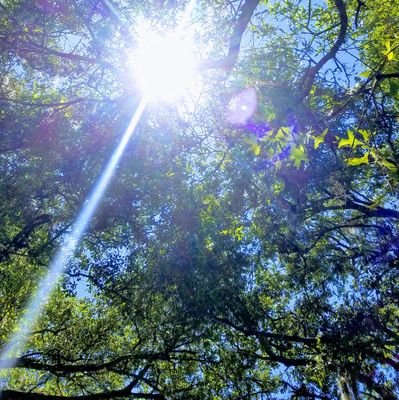 GinaFeesh's profile picture. MS fighting, pole dancer mama who gets kind of passionate about the stuff she cares about.