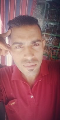 محمود سيد