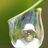 Edach's profile image