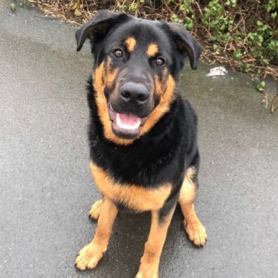 tyler58883855's profile picture. 