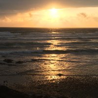 Dawn Reeve (@dawnreeve5) 's Twitter Profile