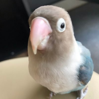 IP0HwDVPbzzb3n4's profile picture. 