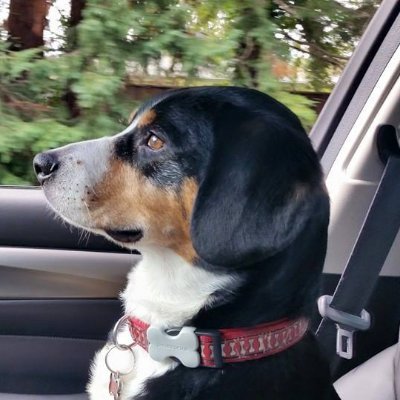 MarkCKilleen's profile picture. Celebrating and protecting the world's best brands.