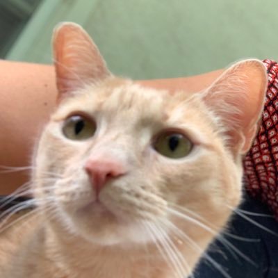 nickmo57's profile picture. 