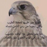 عبدالله المجنوني هلابطيبين🌴 (@fhreiedu2ati7t5) 's Twitter Profile Photo