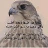 fHrEIeDu2ATI7T5's profile picture. 