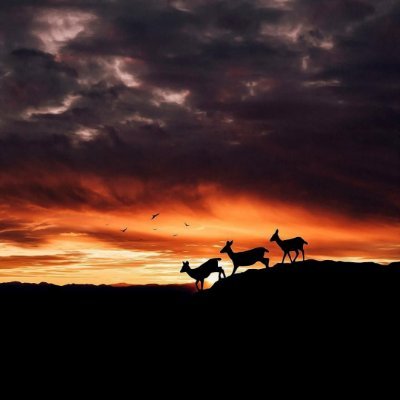 miguelgarduno59's profile picture. 