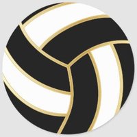 Streamwood Sabres Volleyball (@streamwoodsabr1) Twitter profile photo