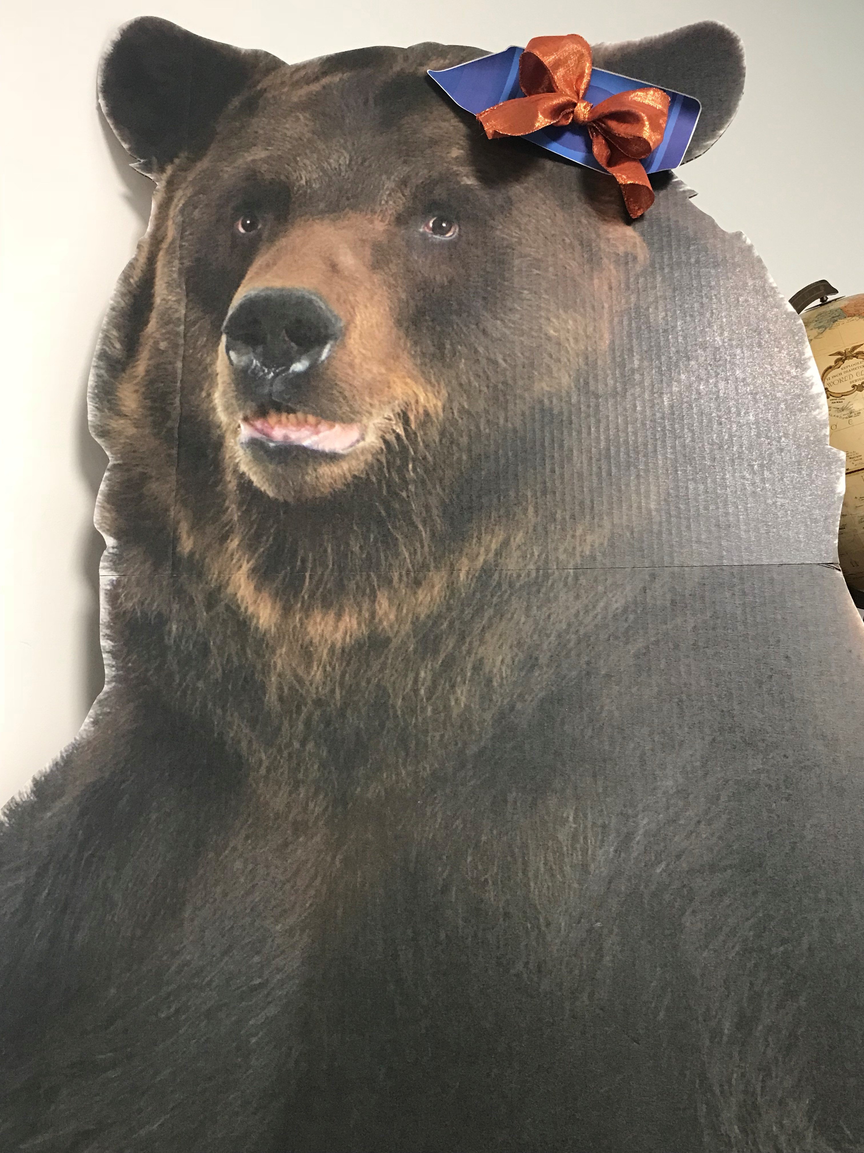 Bearnice Waketheden is now a Junior at Bridgeland High School. She is the Attendance Mascot and loves to dress up for all the school spirit days!