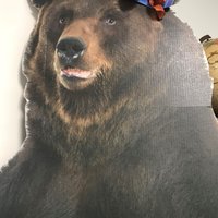 Bearnice Bridgeland Attendance Mascot (@bearattendance) 's Twitter Profile