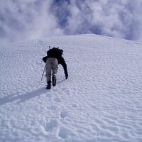 Pancho Nelson (@panchonelson) 's Twitter Profile