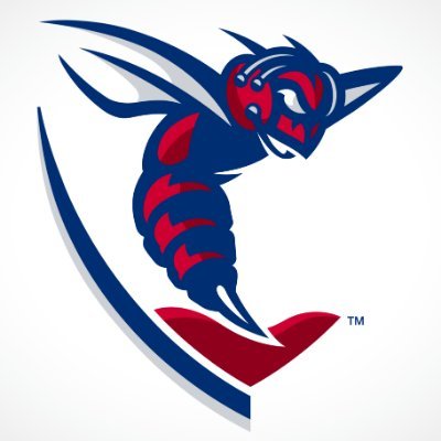 The official handle for the Shenandoah University men's wrestling program. #WelcomeToPINchester #GoHornets