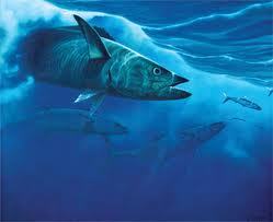 TreasureFish772's profile picture. Take it easy...you got Treasure Coast Fishing Report as your first mate. The greatest in-shore fishing tips, tricks & spots on the Treasure Coast!