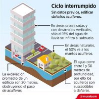 Jardines De La Paz (@paz_jardines) 's Twitter Profile