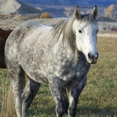jewlz106m's profile picture. I support our Constitution and Bill Of Rights
I support united states of america
