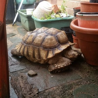 KeenonLynn's profile picture. 