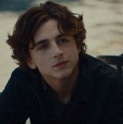 sacredlypure's profile picture. parody account.