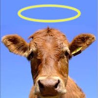 Saintly Bovine (RUIN)(@BovineSaintly) 's Twitter Profileg