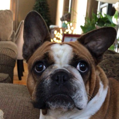 boothm86's profile picture. 