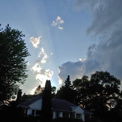 Shannonshouse's profile picture. 