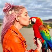 BirdTricks (@birdtricks) 's Twitter Profile
