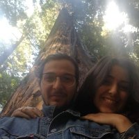 Walid Mawass (@mawasswalid) 's Twitter Profile