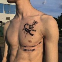 chendada (@xruc5y2a2g88vgz) 's Twitter Profile