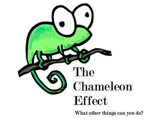 The Chameleon Effect by Joe Arden The Chameleon Effect by Joe Arden