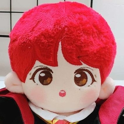 for your nct and wayv doll collection 💚 엔시티 인형 수집 #NCT #엔시티 #WayV #威神V ❌ selling