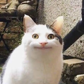 えんどぅさんのプロフィール画像