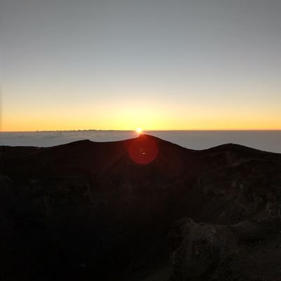 myoken's profile picture. 概ねリツイートですが、ところによりつぶやくでしょう。